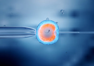 Understanding IUI vs IVF