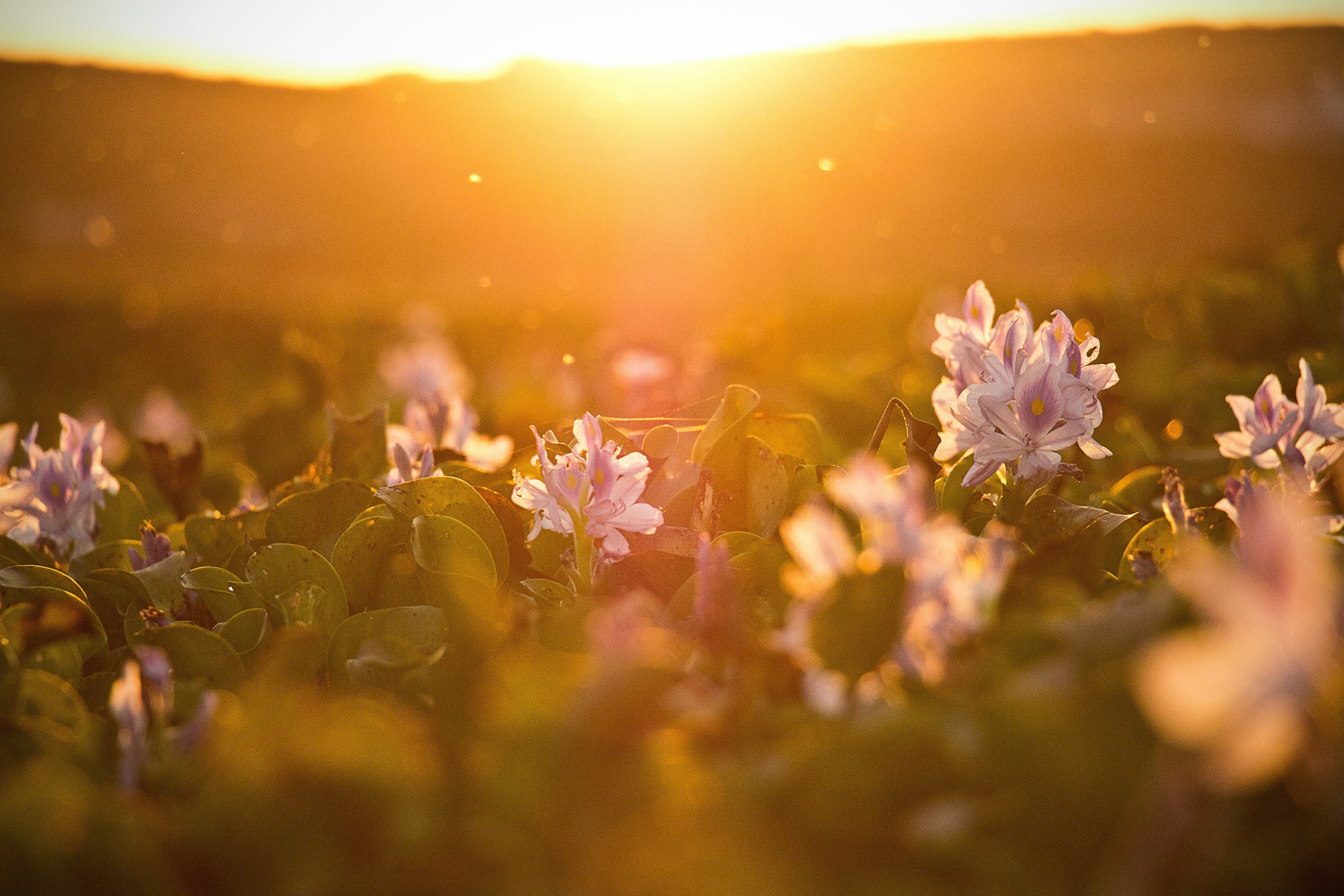 Why Moms Need More Sun Exposure and Vitamin D