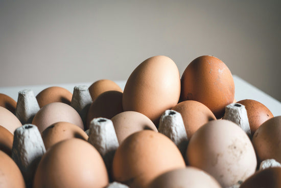 Choline: Yet Another Source of Dietary Mismatch