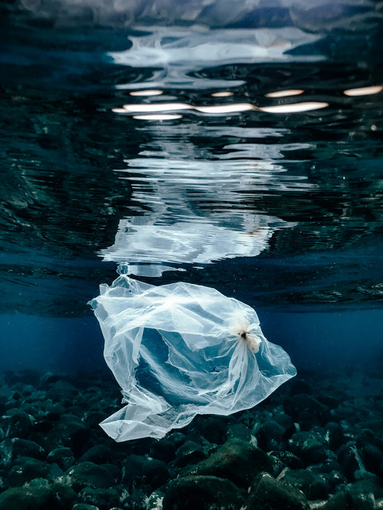 Chemical Concerns: Understanding PFAS, Bisphenols, and Phthalates