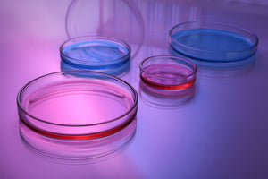Group B Strep in Pregnancy - needed.
